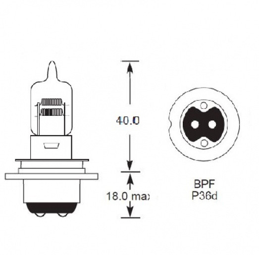 BPF P36D HALOGEN: British Pre-focus P36D base Halogen bulb with twin ...