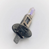 B448AS: 12 Volt 55W H1 P14.5S base Head, Spot & Fog bulb from £4.32 each