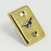 606B: Interior light toggle switch with cover plate - Brass from £20.93 each
