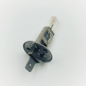 B481AS: 12 Volt 100W H1 P14.5S base Head, Spot & Fog bulb from £6.50 each